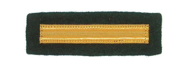 bg-1