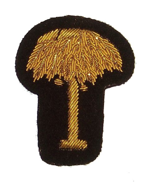 Musician Hat Insignia