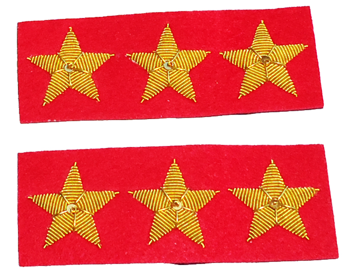 Lieutenant Colonel Cavalry