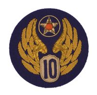 9th Airborne Engineer Command Patch