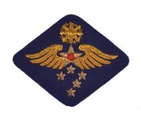 Far East Air Force Pacific Air Command Patch