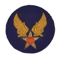 US Army & Air Force Patch